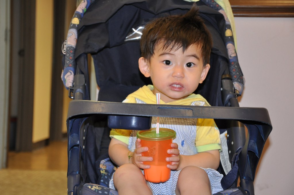 DSC_0108_1024x680.JPG