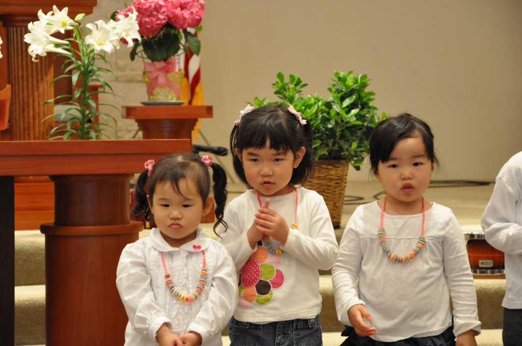 DSC_0014_1024x680.JPG