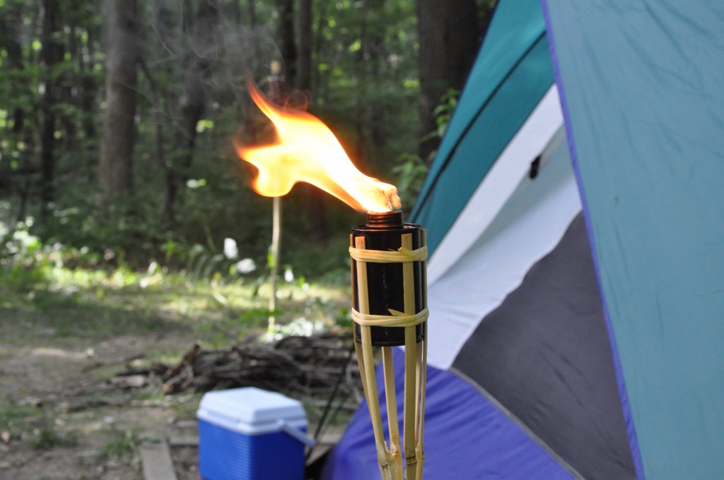 DSC_0138_1024x680.JPG
